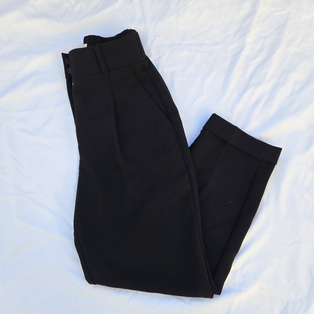 Aritzia Wilfred Slacks